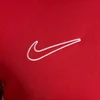 Nike Academy 25 SS Top M FZ9754 657
