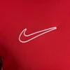 Nike Academy 25 SS Top M FZ9754 657