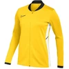 Nike Academy 25 Track M FZ9824 719 sportinis džemperis