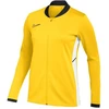 Nike Academy 25 Track M FZ9824 719 sportinis džemperis