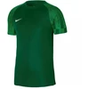 Nike Academy Jaunes T-marškiniai DH8369 302