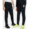 Nike Academy Jaunimo DJ3363-010 sportinis kostiumas