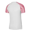 Nike Academy Jaunių Džersis DH8369-100