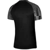Nike Academy Jaunių Marškinėliai DH8369-010