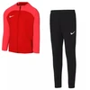 Nike Academy Jr DJ3363 657 treniruočių kostiumas