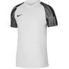 Nike Academy Jr. marškinėliai DH8369-104