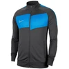 Nike Academy Pro Jr BV6948-069 džemperis