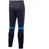 Nike Academy Pro Pant Youth Jr DH9325 451