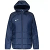 Nike Academy Pro Rudens Striukė DJ6364-451