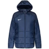 Nike Academy Pro Rudens Striukė DJ6364-451