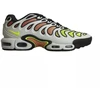 Nike Air Max Plus Drift Šviesiai sidabrinė/Volt Vyriški sportbačiai - FD4290-009
