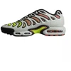 Nike Air Max Plus Drift Šviesiai sidabrinė/Volt Vyriški sportbačiai - FD4290-009