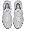 Nike Air Max Plus M 604133-139 Batai
