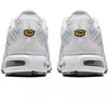 Nike Air Max Plus M 604133-139 Batai