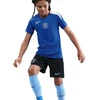 Nike Chelsea FC Strike SS Marškinėliai HM4444-481