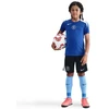 Nike Chelsea FC Strike SS Marškinėliai HM4444-481