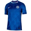 Nike Chelsea London stadiono namų apranga HJ4589-496