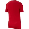 Nike Club Marškinėliai M AR4997 657