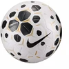 Nike Control HV4395-100 Kamuolys