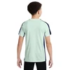 Nike CR7 Jaunimo Marškinėliai HF4372-394