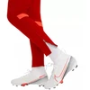 Nike DF Academy 21 KPZ kelnės jaunimui CW6124-687