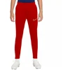 Nike DF Academy 21 KPZ kelnės jaunimui CW6124-687