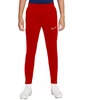 Nike DF Academy 21 KPZ kelnės jaunimui CW6124-687