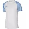 Nike Df Academy Jsy SS Jr marškinėliai DH8369 102