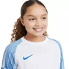 Nike Df Academy Jsy SS Jr marškinėliai DH8369 102