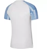 Nike Df Academy Jsy SS Jr marškinėliai DH8369 102