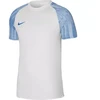 Nike Df Academy Jsy SS Jr marškinėliai DH8369 102