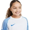 Nike Df Academy Jsy SS Jr marškinėliai DH8369 102