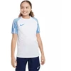 Nike Df Academy Jsy SS Jr marškinėliai DH8369 102