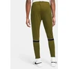 Nike DF Academy M CW6122 222 kelnės