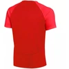 Nike DF Academy Pr Ss Top K Jr DH9277 657