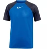 Nike DF Academy Pro SS Top K Jr DH9277 463