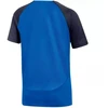 Nike DF Academy Pro SS Top K Jr DH9277 463