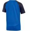 Nike DF Academy Pro SS Top K Jr DH9277 463