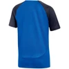 Nike DF Academy Pro SS Top K Jr DH9277 463