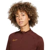 Nike Dri-FIT Academy 21 „Drill Top“ W CV2653 273 megztinis