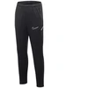 Nike Dri-Fit Academy 25 Jr kelnės FZ9816 010