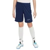 Nike Dri Fit Academy 25 Jr šortai FZ9784 410