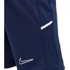 Nike Dri Fit Academy 25 Jr šortai FZ9784 410