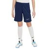 Nike Dri Fit Academy 25 Jr šortai FZ9784 410