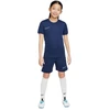 Nike Dri Fit Academy 25 Jr šortai FZ9784 410