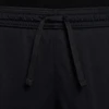 Nike Dri-Fit Academy 25 Jr šortai FZ9784 010