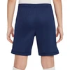 Nike Dri Fit Academy 25 Jr šortai FZ9784 410