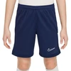 Nike Dri Fit Academy 25 Jr šortai FZ9784 410