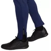 Nike Dri-Fit Academy 25 M Kelnės FZ9805 410