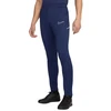 Nike Dri-Fit Academy 25 M Kelnės FZ9805 410